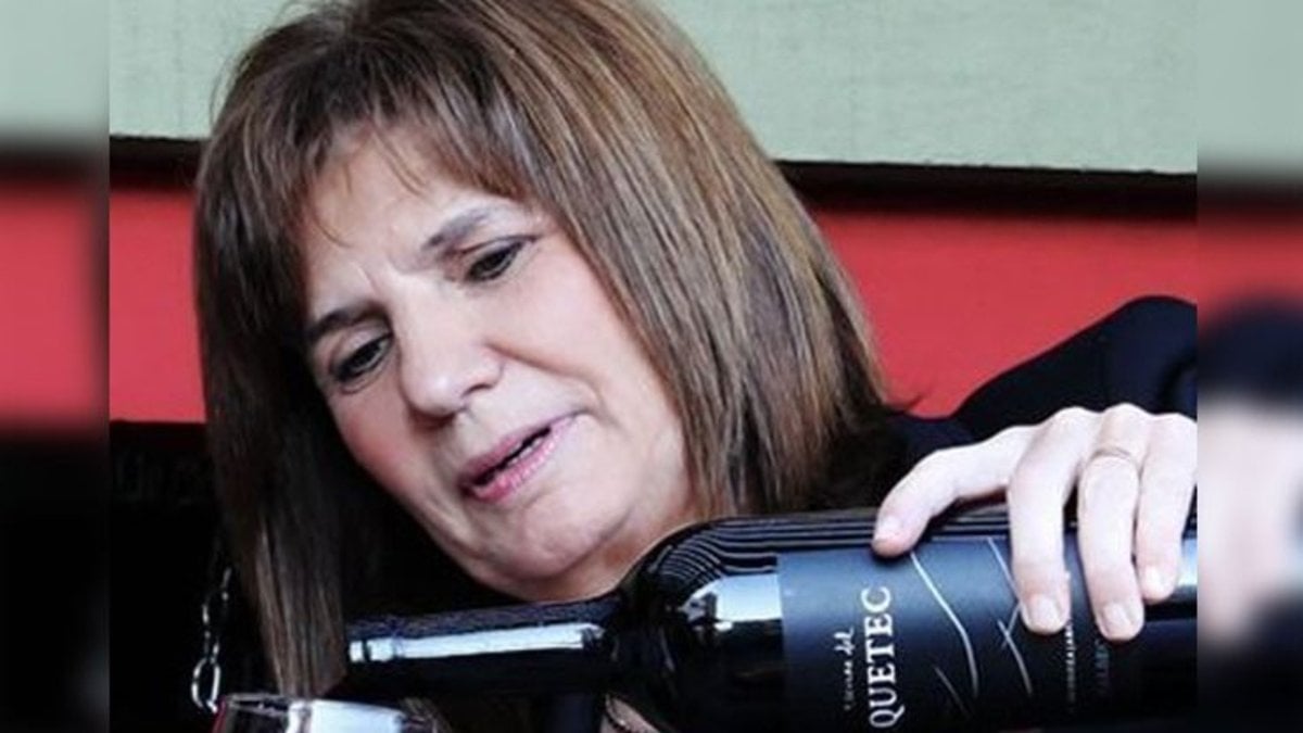 Patricia Bullrich opinó sobre el pedido para destituir al senador Kueider: “¡Que se deje de joder el kirchnerismo!”