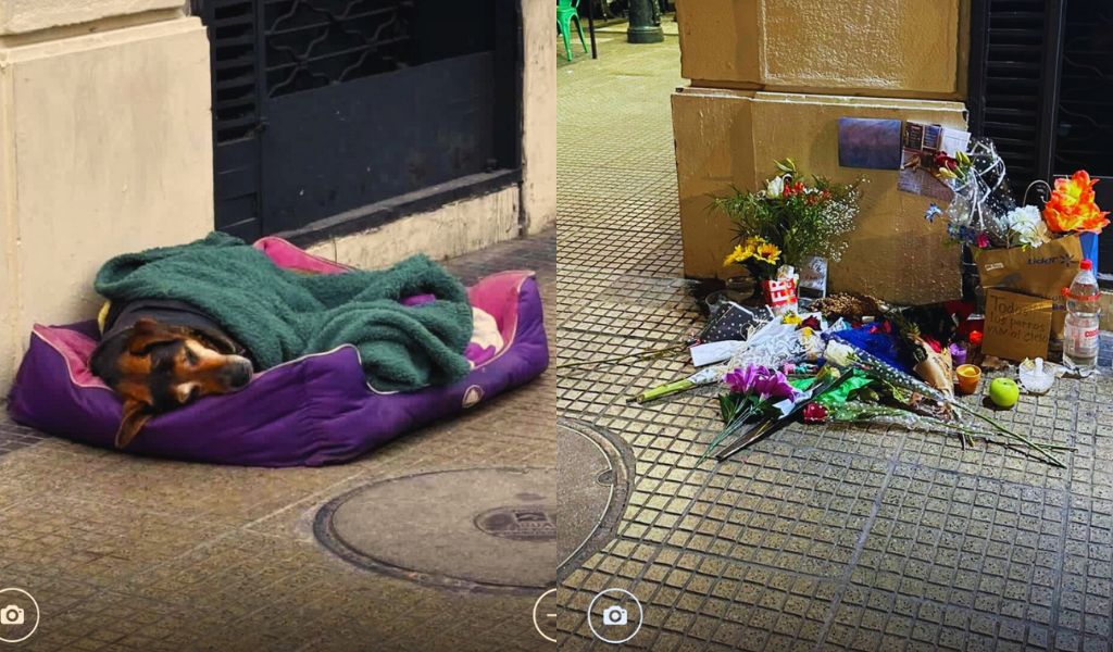 Murió el perrito que cuidaba la esquina de un bar y el barrio entero llenó su rincón de flores 