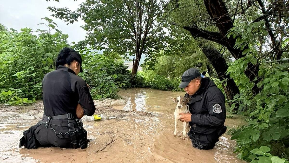 HÉROES DE AZUL: MÁS ALLÁ DEL DEBER, DESAFIARON EL AGUA Y EL BARRO PARA QUE NADIE SE QUEDARA ATRÁS